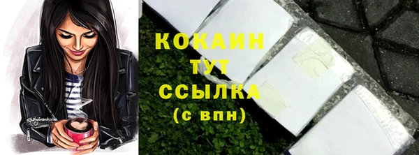 прущий лед Пересвет