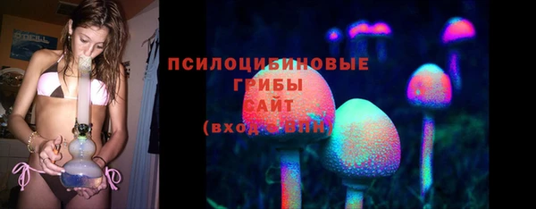PSILOCYBIN Пестово