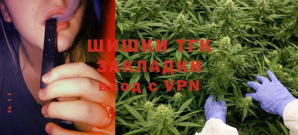 прущий лед Пересвет