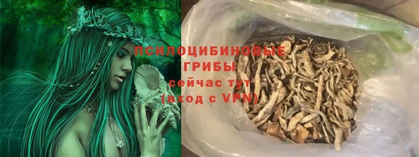 PSILOCYBIN Пестово