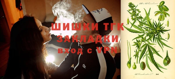 прущий лед Пересвет