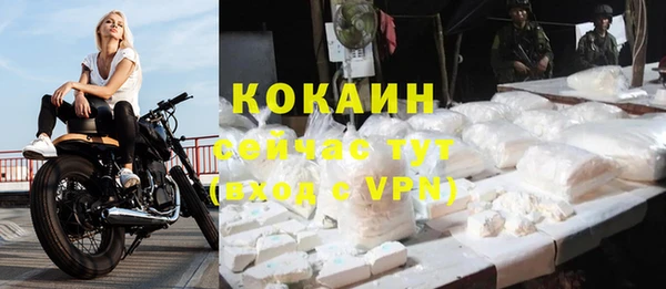 прущий лед Пересвет