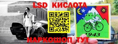СК Ирбит