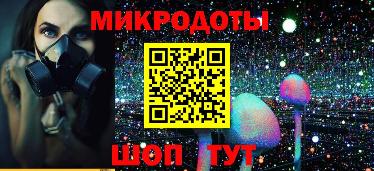 Галлюциногенные грибы Cubensis Азов