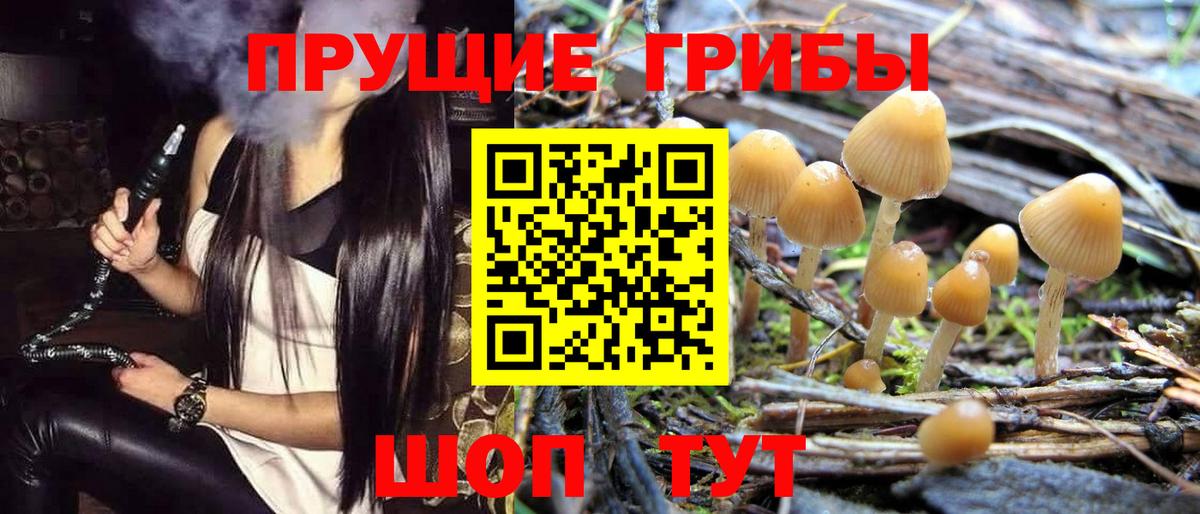 Азов  Галлюциногенные грибы Psilocybine cubensis  Галлюциногенные грибы MAGIC MUSHROOMS  Вход с VPN 